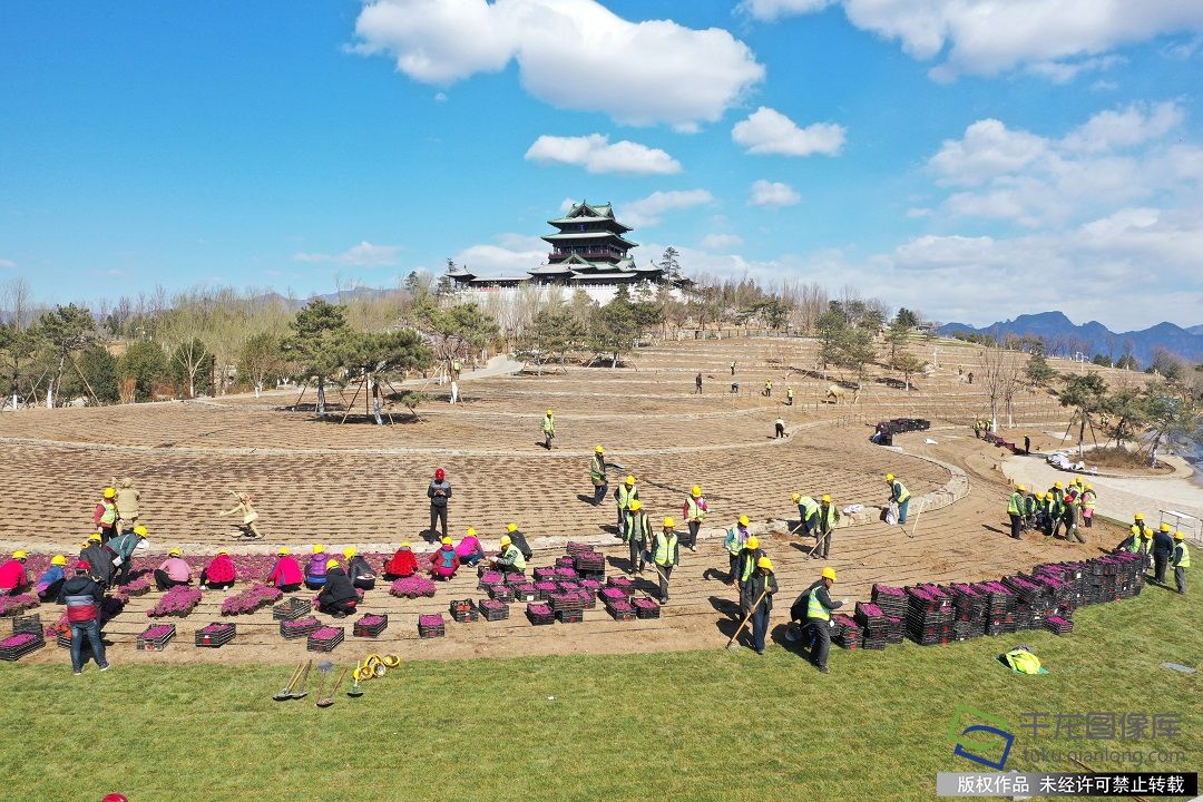 05 五色花田景不清雅装置扦