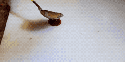 640_wx_fmt=gif&tp=webp&wxfrom=5&wx_lazy=1 (2)