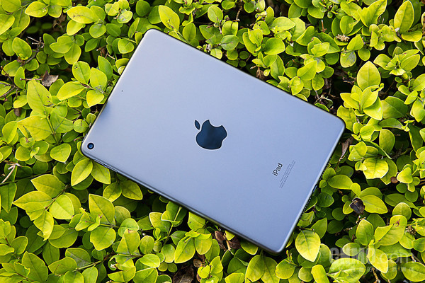 iPad mini采用金属背板 iPad mini采用金属背板