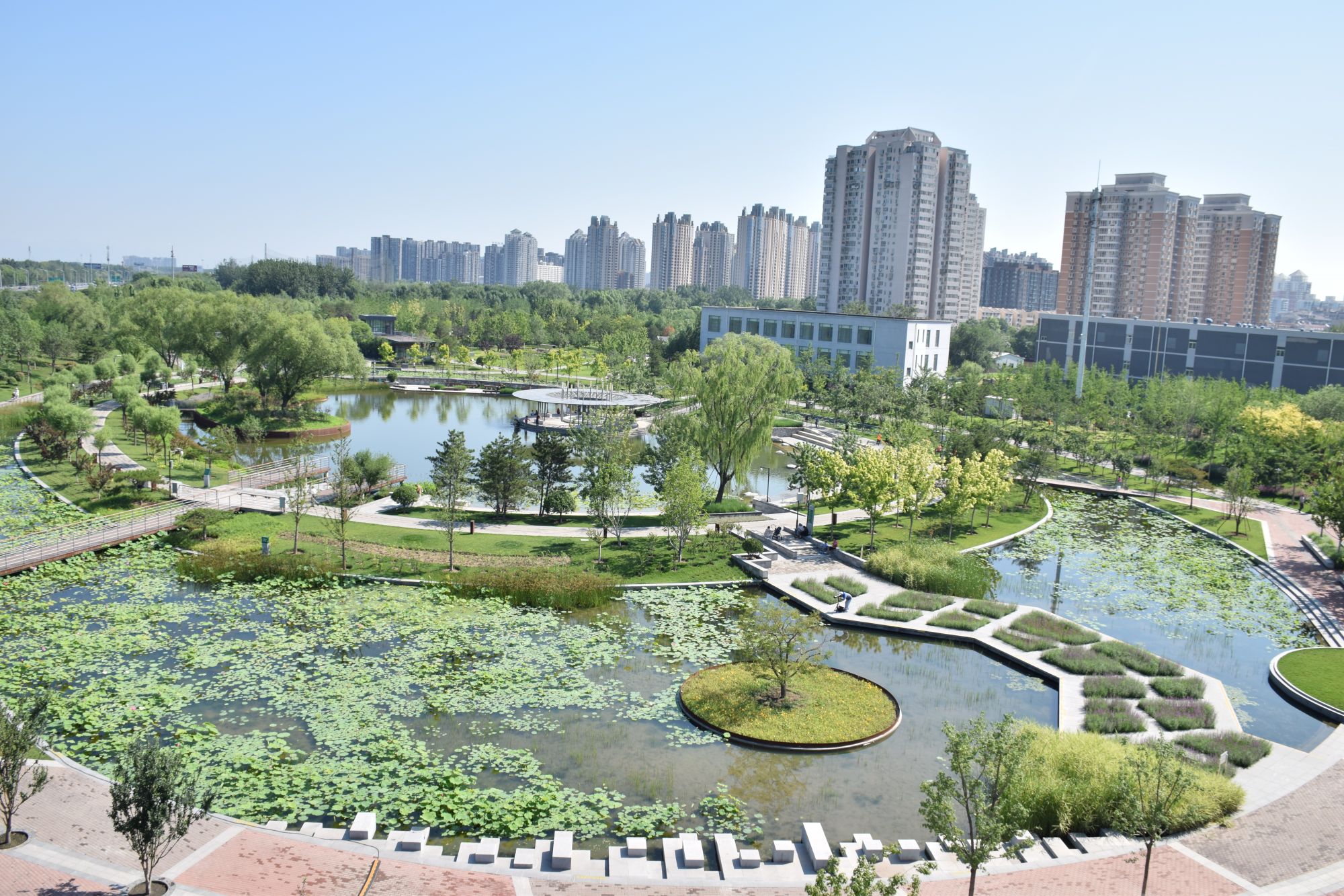 望和公园:花园雨水汇入人工湖 结成循环生态链