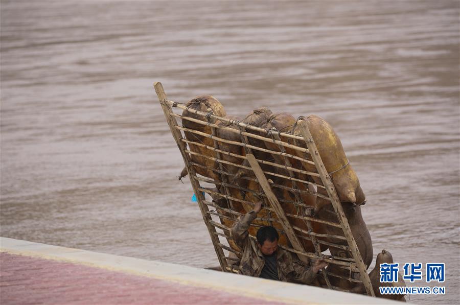 （图片故事）（7）黄河上的&ldquo;摆渡人&rdquo;