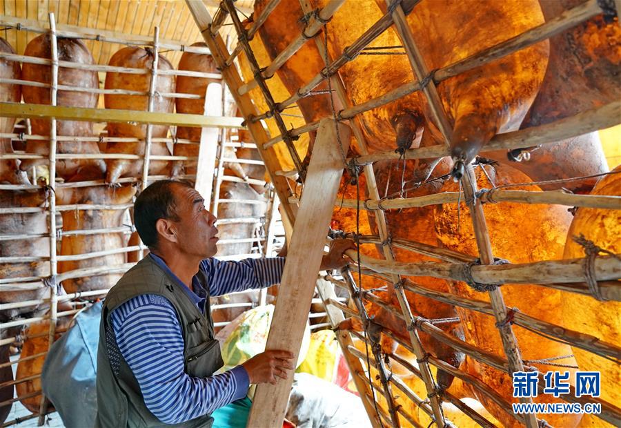 （图片故事）（11）黄河上的&ldquo;摆渡人&rdquo;