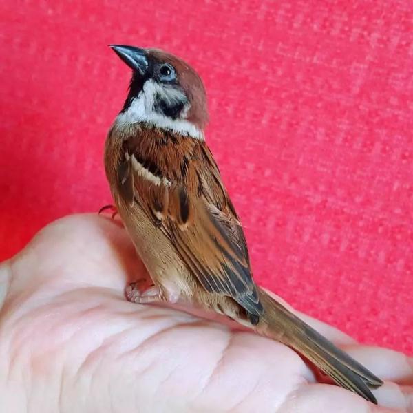 &ldquo;小姑娘怎么去看守所工作呢？&rdquo;她去了，还成了&ldquo;网红&rdquo;&rarr;