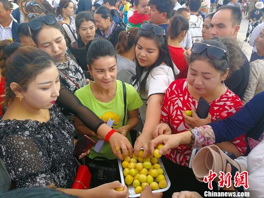 开幕式现场，游人免费品尝各种杏子。　王小军 摄