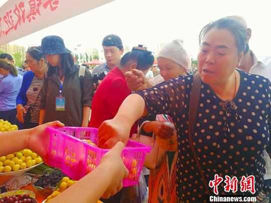 游人品尝杏子。　王小军 摄