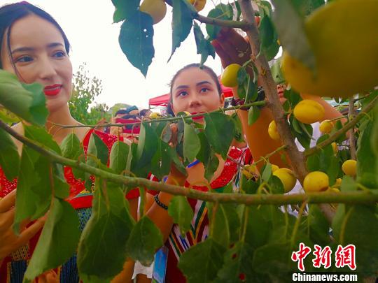 开幕式现场一棵杏树吸引美女围观。　王小军 摄