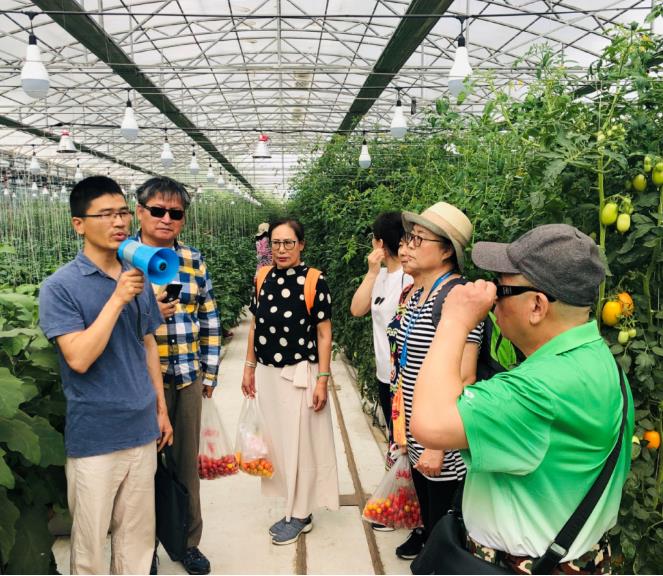 在工作人员的引导下，市民们走进合作社进行参观，一边采摘，一边听取了植保专家对于蔬菜绿色防控、生物防治技术的详细介绍，尤其是针对社会上、网络中流传的关于蔬菜瓜果的各种谣言和误区进行了科普和引导。市民们听得认真，还时不时提问和交流，大家纷纷表示，听了专家的介绍，不仅了解到了一些蔬菜的基础知识和常识，更对一些疑惑和问题有了正确的认识，今后再也不会被网络谣言误导了。