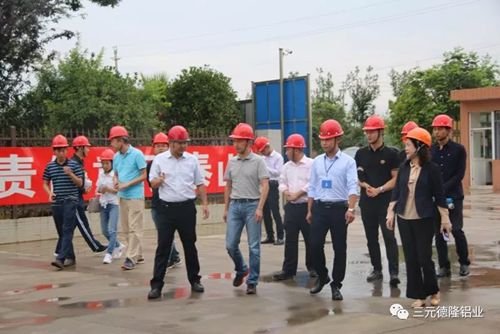 红星美凯龙领导一行莅临三元德隆考察，双方合作再升级