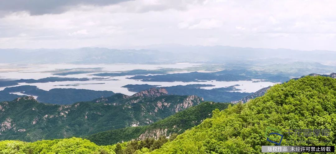 云蒙山险峰上的崖柏更是一道亮丽的风景，云蒙山有着得天独厚的自然地理条件，在此孕育出了数不尽的崖柏。据史料记载，崖柏源于3亿年前，是恐龙时代白垩纪的孑遗植物，被植物学家称为世界上最珍稀最古老的裸子植物，素有“植物大熊猫”、“活化石”之称，是我国特有国宝级植物。