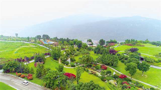 铁山坪森林公园