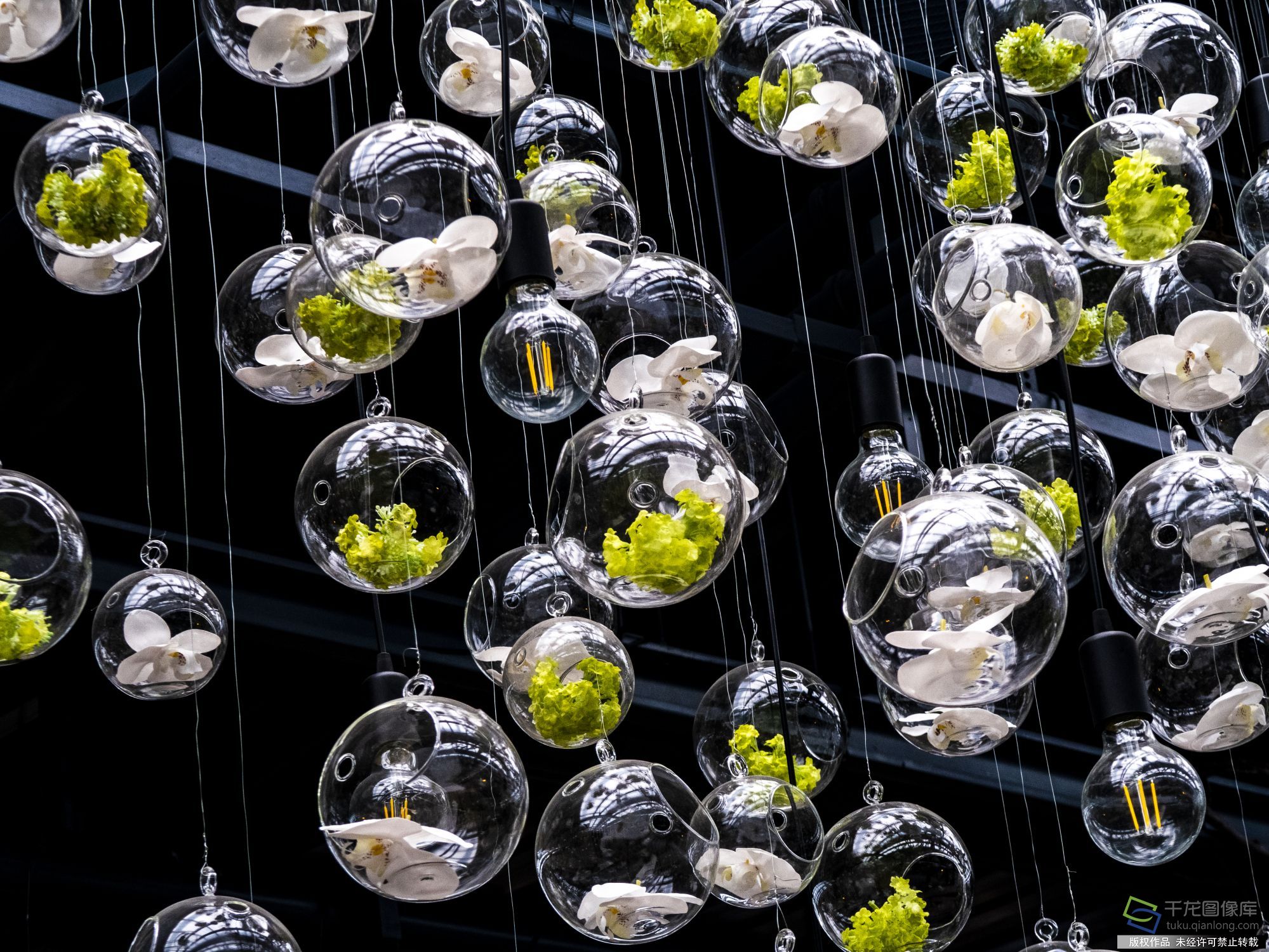 2019年8月2日，北京花乡产业升级花卉嘉年华打造“顶级花店”。赵熔摄 千龙网发