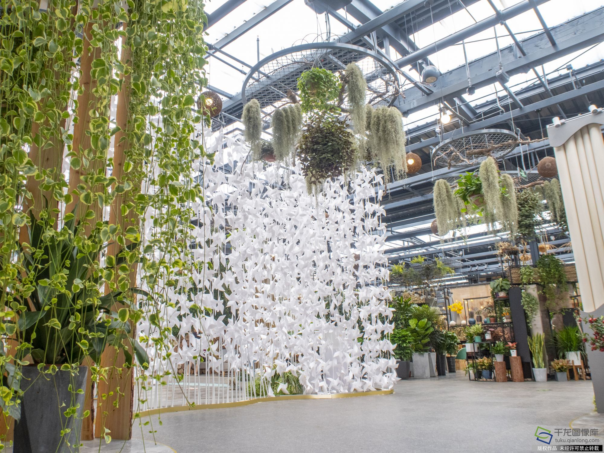 2019年8月2日，北京花乡产业升级花卉嘉年华打造“顶级花店”。赵熔摄 千龙网发