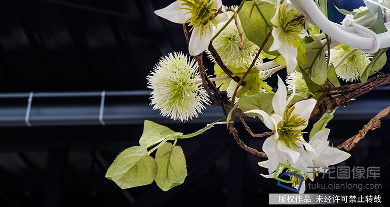 2019年8月2日，北京花乡产业升级花卉嘉年华打造“顶级花店”。赵熔摄 千龙网发