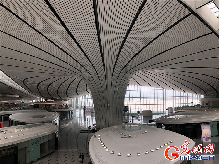 【瓣瓣同心·协同五年谱新篇】大兴国际机场即将展翅高飞 加速带动京津冀协同发展 【瓣瓣同心 协同五年谱新篇】大兴国际机场即将展翅高飞 加速带动京津冀协同发展