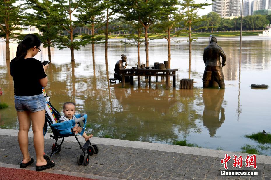 广西南宁城区江水暴涨 两岸步道被淹没