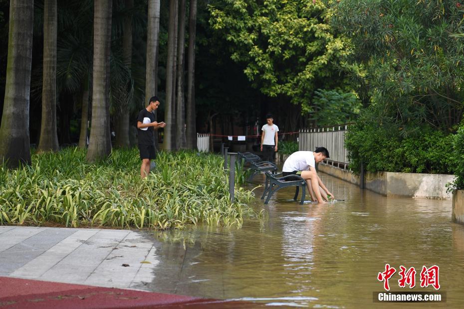 广西南宁城区江水暴涨 两岸步道被淹没
