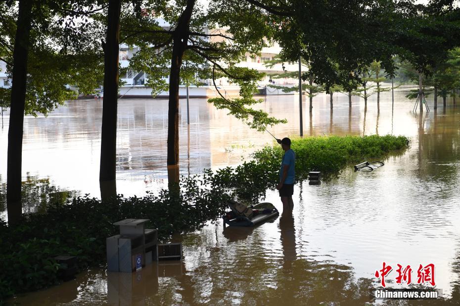 广西南宁城区江水暴涨 两岸步道被淹没