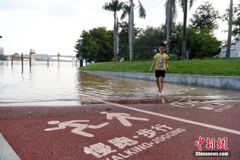 广西南宁城区江水暴涨 两岸步道被淹没