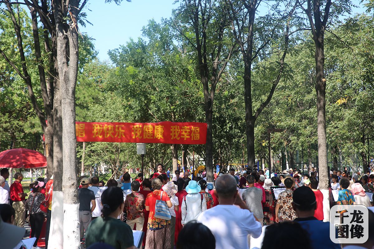 图片4-800