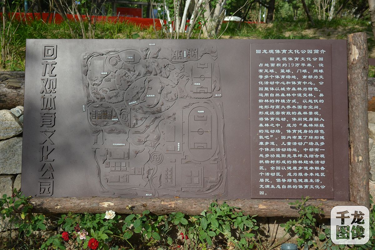图片1-800