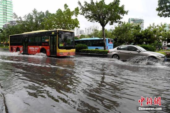 8月25日，台风“白鹿”带来的大风和暴雨，造成厦门市区路面出现不同程度的积水，给市民的出行带来不便。今年第11号台风“白鹿”25日7时25分在福建省东山县沿海登陆，影响厦门。图为厦门车辆经过积水路面。 <a target='_blank' href='http://www.chinanews.com/'>中新社</a>记者 张斌 摄