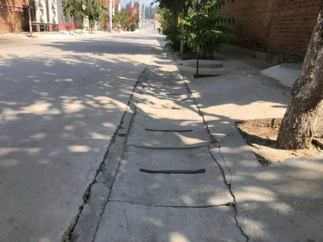 “您看这硬化后的土地，看着就舒心走在上面也踏实，还有这一排整齐的排水沟，就是遇到再大的雨水也不会出现存水的情况。”周起营村的建设前线总指挥刘宗军为记者介绍周起营村的喜人成果。“下一步，我们会将街道的绿化进行全面升级，明年您再来那村里就更漂亮了。”