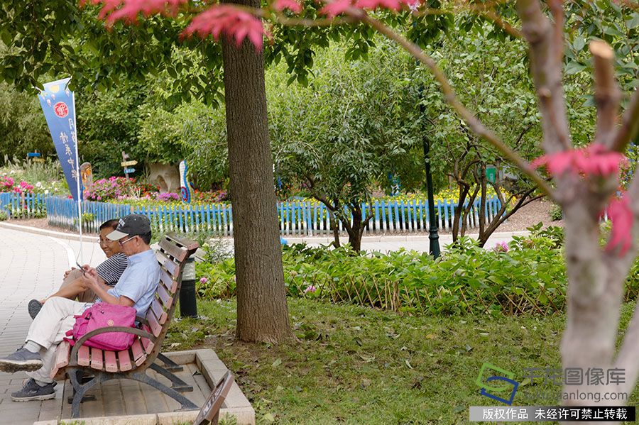 北京香山公园迎中秋举行多项活动。 佟丽萍摄 千龙网发