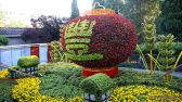 2019年9月16日，随着国庆佳节临近，北京街头主题花坛陆续亮相，吸引市民驻足观赏拍照。郭俊锋摄 千龙网发