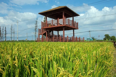 1569238508903229.png blob.png