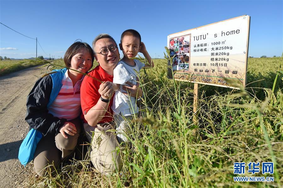 (在习近平新时代中国特色社会主义思想指引下&mdash;&mdash;新时代新作为新篇章&middot;总书记关心的百姓身边事&middot;图文互动)（1）为了百姓餐桌上热腾腾的一碗好饭&mdash;&mdash;粮食品种升级满足舌尖上的新期待