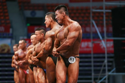 2019年CBBA PRO“舒华杯”中国健美健身精英职业联赛(青海站)收官 2019年CBBA PRO“舒华杯”中国健美健身精英职业联赛(青海站)收官