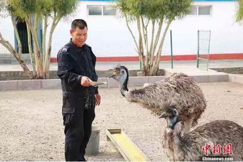 点击进入下一页