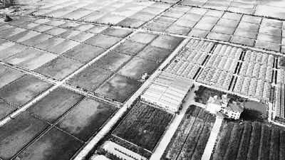 新中国70年“三农”事业的探索与发展 新中国70年“三农”事业的探索与发展