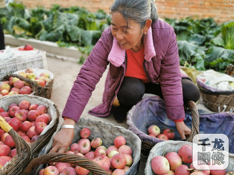 QQ截图20191017103854_副本