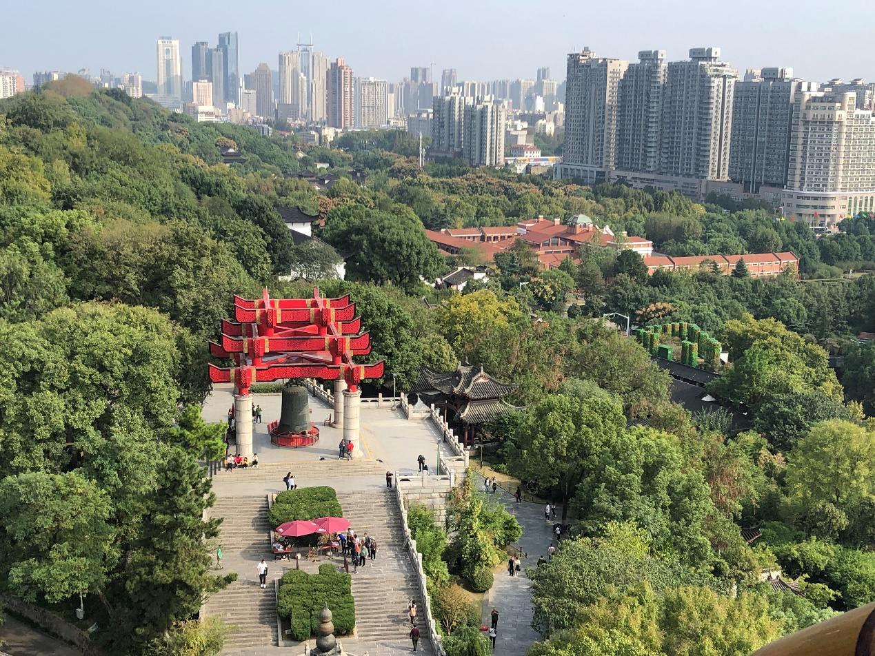 图片2