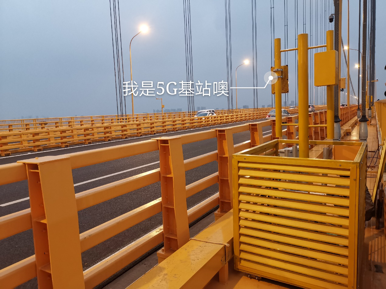 图片6