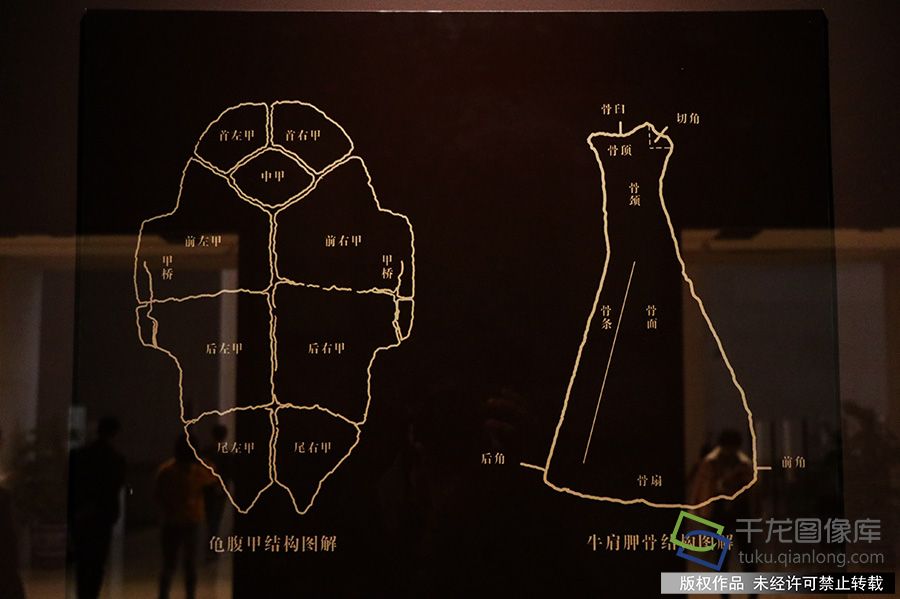 此次展览通过近190件甲骨、青铜、玉石、书籍等实物，展现甲骨文的发现与制作、甲骨文反映的商代社会，以及甲骨文的研究。这是国家博物馆第一次举办以甲骨文为内容的文化展，也是国家博物馆馆藏甲骨的第一次大规模展示。牛云岗摄 千龙网发