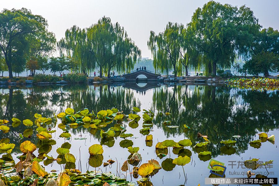 2019年10月23日，深秋将至，北京一年当中最浪漫的赏叶季也翩跹而来金黄色、深红色⋯⋯交相辉映甚是“醉人”。市园林绿化局公布了16处精品赏红片区，市民可以就近前往，尽情享受金秋之美。图为玉渊潭公园秋花妍丽，秋叶初黄，吸引不少市民游览赏景。赵熔摄  千龙网发