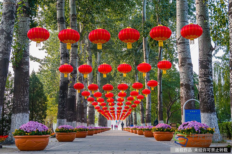 2019年10月23日，深秋将至，北京一年当中最浪漫的赏叶季也翩跹而来金黄色、深红色⋯⋯交相辉映甚是“醉人”。市园林绿化局公布了16处精品赏红片区，市民可以就近前往，尽情享受金秋之美。图为玉渊潭公园秋花妍丽，秋叶初黄，吸引不少市民游览赏景。赵熔摄  千龙网发