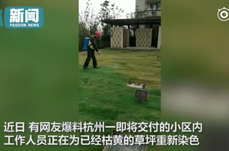 360截图20191029110108958