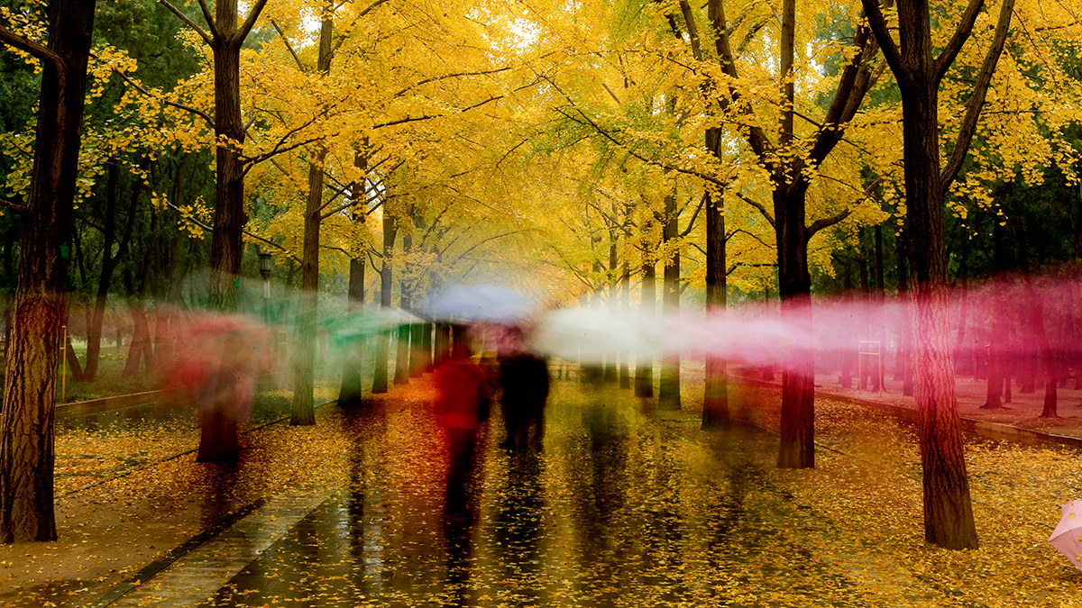 微信图片_20191031083307