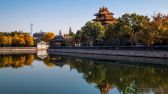 2019年11月8日，北京故宫博物院护城河畔秋色正浓，古建与银杏黄叶交相呼应。何嵘摄 千龙网发
