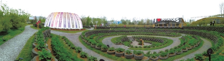 67e18d9b3737450024933ffa50c9af56_auto-orient,0