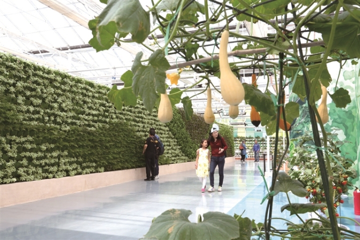 32ba88f7dc0ad7f4f01d319c3b971969_auto-orient,0