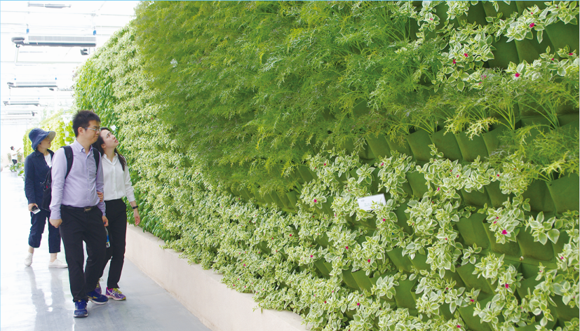 微信图片_20190528094739