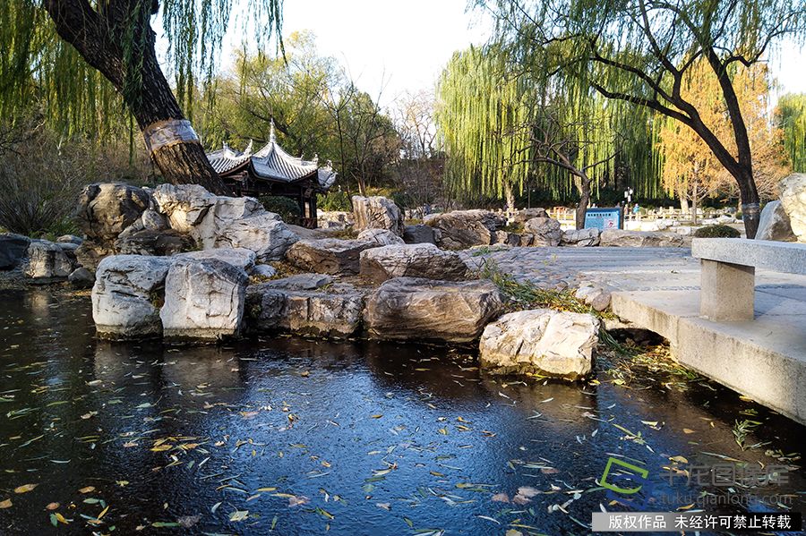 2019年11月17日下午大风袭京城，气温骤降。2019年11月18日陶然亭公园的湖水已经结冰了。时永平摄 千龙网发