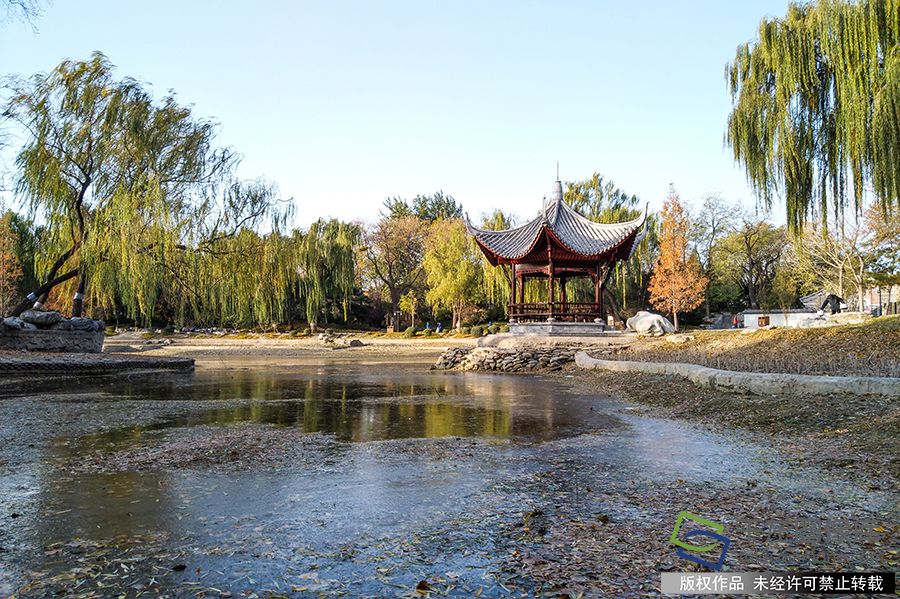 2019年11月17日下午大风袭京城，气温骤降。2019年11月18日陶然亭公园的湖水已经结冰了。时永平摄 千龙网发