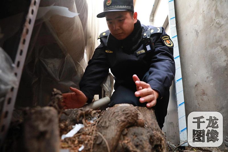 微信图片_20191120104036_副本