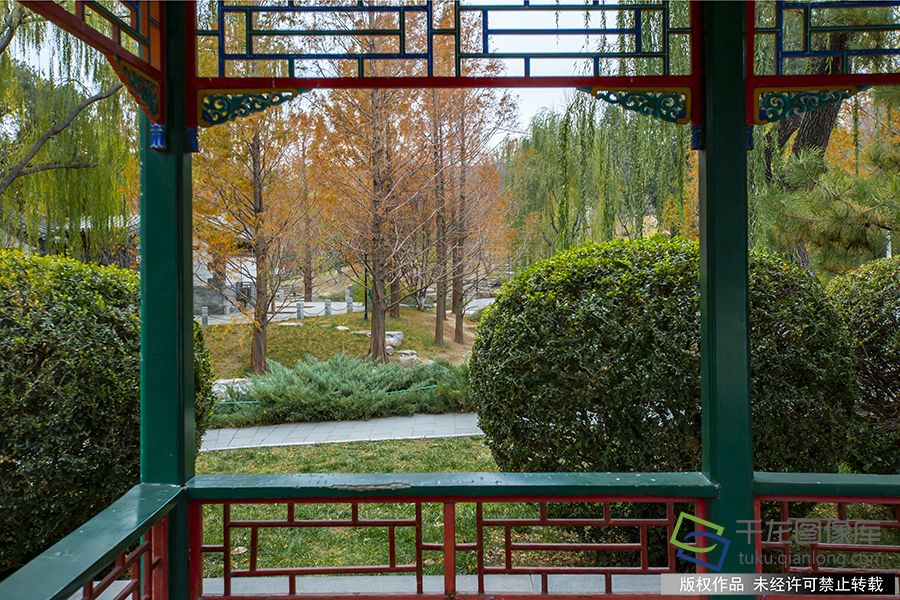 2019年11月21日 ，冬日里的中山公园别具风情。赵熔摄 千龙网发