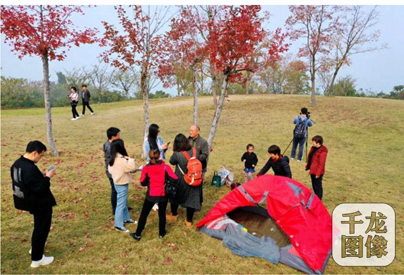 微信图片_20191127161213_副本